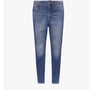 Torrid Blue Skinny Jeans